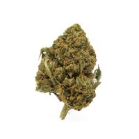 rockstar-medium-cannabis